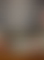 Industria de la vivienda deja de mil a cinco   mil millones de pesos anuales al estado