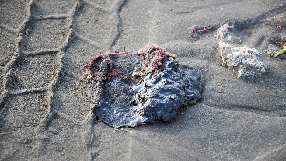 Ecocidio en Veracruz: Derrame de crudo asfixia 630 kilómetros de costa y vida marina