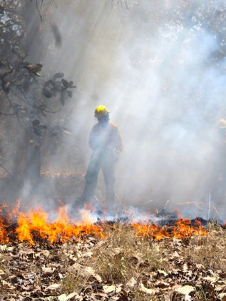 Reportan 51 incendios forestales en México, seis en áreas protegidas