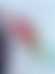 Tras repunte covid, México acumula 961,938 casos y 94.808 muertes