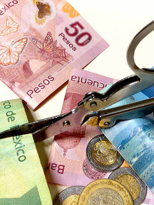 Científicos mexicanos consideran financiamiento de instituciones internacionales