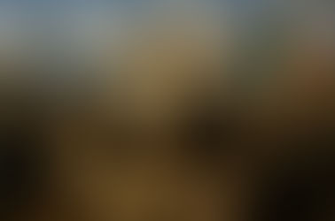 Episodio desconocido muestra tensiones políticas en la integración de Chiapas