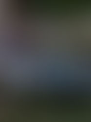 Fiesta ya tiene monarca