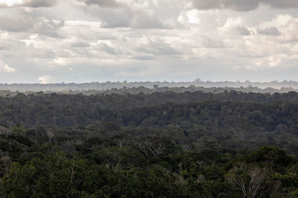 Potencial millonario: El ecoturismo en áreas protegidas de Brasil busca récord para 2030