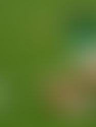 El central César Montes cambia al Monterrey por el Espanyol