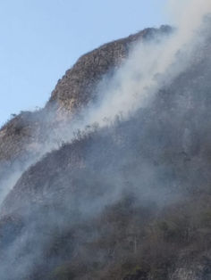 Activo incendio en el Cañón del Sumidero y El Jobo