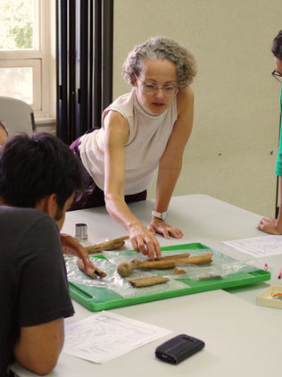 La historia de la civilización maya se lee en los restos óseos