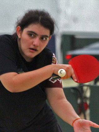 Definen equipo estatal