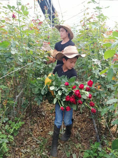 Dedicación, arte y cultura a merced de la Rosas de Choko