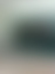 Por feriado, mañana no abrirán los bancos