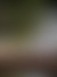 Acumula 126 mil 539 decesos pandemia de COVID-19 en el mundo