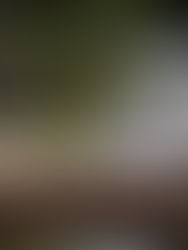 Acumula 126 mil 539 decesos pandemia de COVID-19 en el mundo