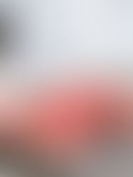Crean sistema que incrementa vida útil de la carne de cerdo