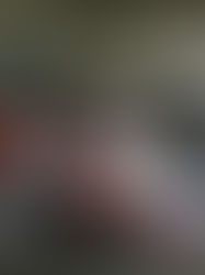 Inconformidad por el regreso a clases el próximo 1 de junio