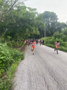 Lechuzas inicia el vuelo