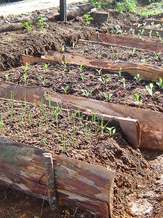Obtiene ingeniera mexicana primer lugar en certamen de ciencia y tecnología