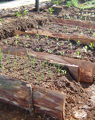 Obtiene ingeniera mexicana primer lugar en certamen de ciencia y tecnología