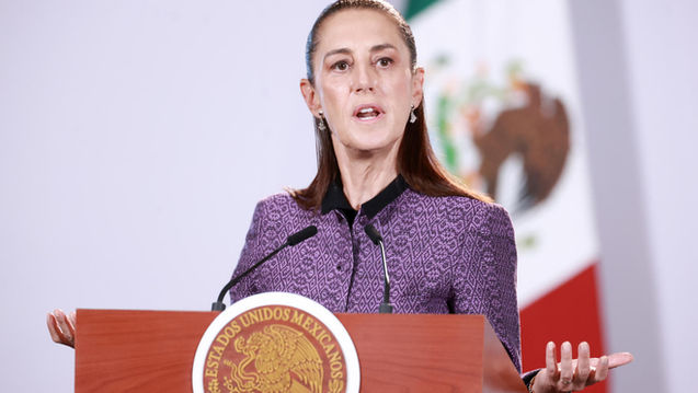 México pide a Interpol reactivar la búsqueda en EEUU de un empresario y una expresentadora
