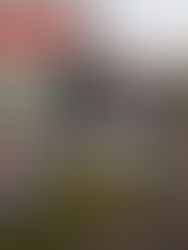 Centroamérica bajo presión: El galón de combustible supera los 4 dólares