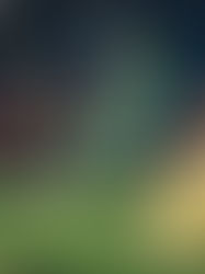 Wolverhampton avanza pese a la derrota