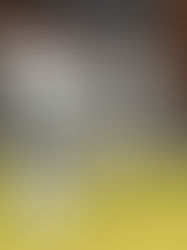 Alistan seminario de formas