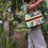 Thumbnail: Helena Book Tote - Abstract Butterflies