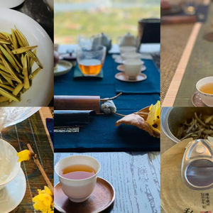 中国茶道十三式