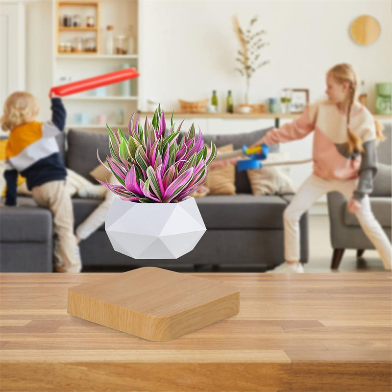 Infográfico mostrando a montagem simples e intuitiva do vaso de planta flutuante magnético.