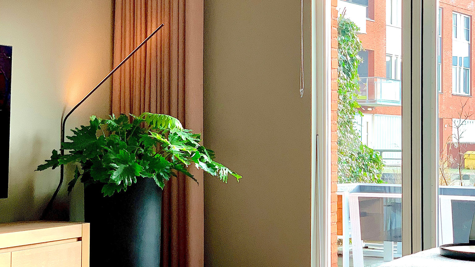 Kleurrijke raamdecoratie