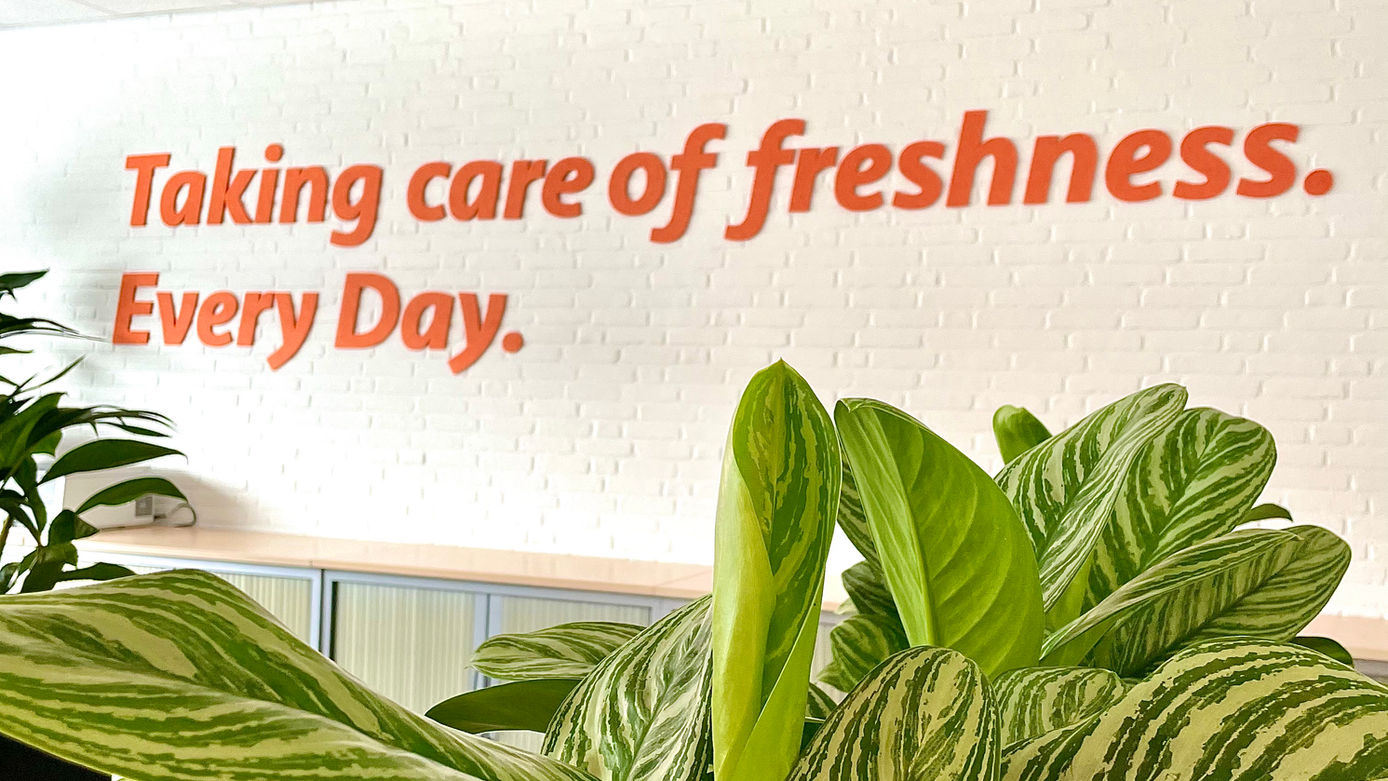 Oranje slogan op wand