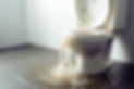AdobeStock_594962499.jpeg