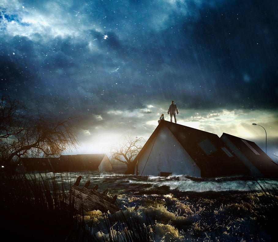 Flooded Landscape Scene