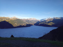 IMG_20211120_154458_7