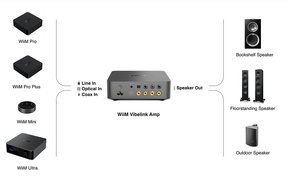 Miniaturbild: WiiM Vibelink Amp