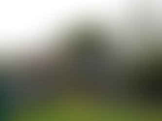 Container housing is a more economical and sustainable building options.