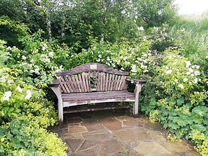 bench nh.jpg