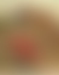 Trusting God in a painful process!