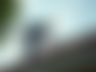 Comprehensive Property Maintenance Services for Property Upkeep Services