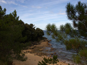 Rocky outcrop looking out to sea on Ile d'Aix