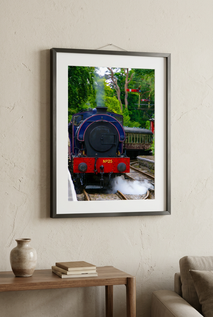 Thumbnail: Mounted Print - Steam Train
