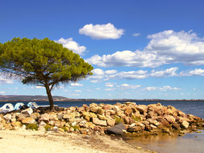 View across the Etang from Meze
