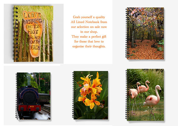 Notebook Multi Pic.jpeg