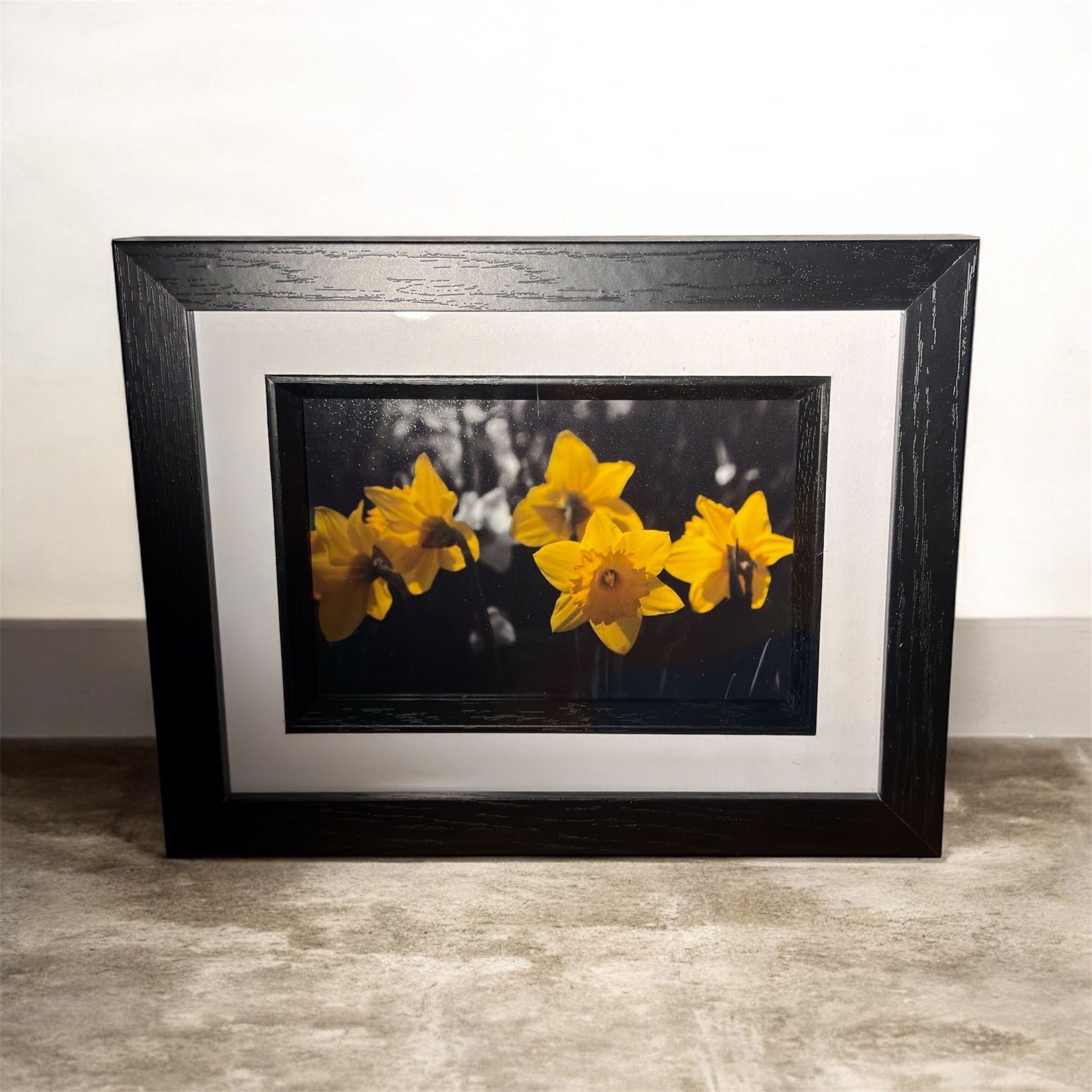 Framed Print 10"x 8" - Daffodils