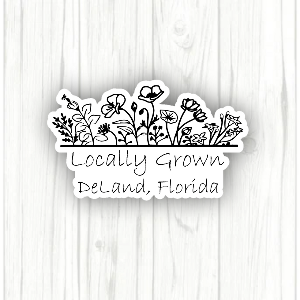 Thumbnail: DeLand, Florida Stickers