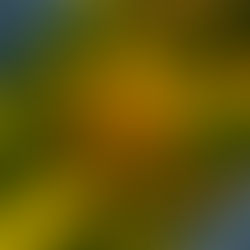 Misión vs razón de ser: ¿Cómo inspirar a las personas en tu organización?
