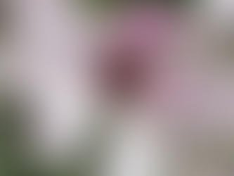 Teaching Tuesday / "Dying Again!"