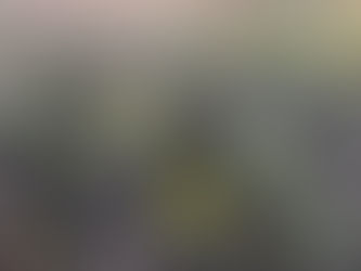 Faithful Friday / He’s Faithful In The Storms