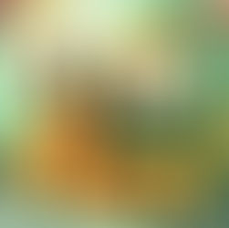 I Spent 22 Years Inside USDA. Here's What Contractors Get Wrong About Getting Certified (Part 1)