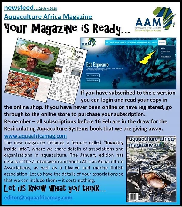Our Journey Aquaponics