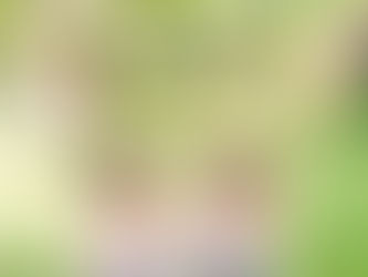 お友達と一緒に♫